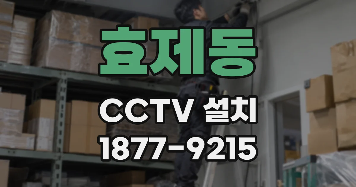 효제동 CCTV 설치