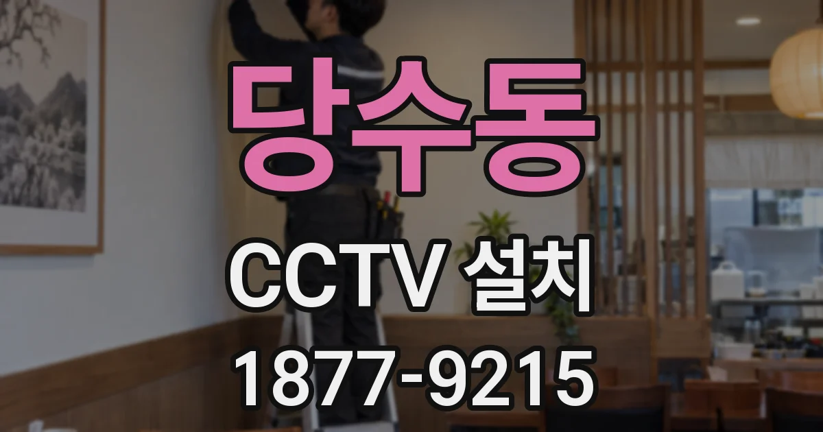 당수동 CCTV 설치