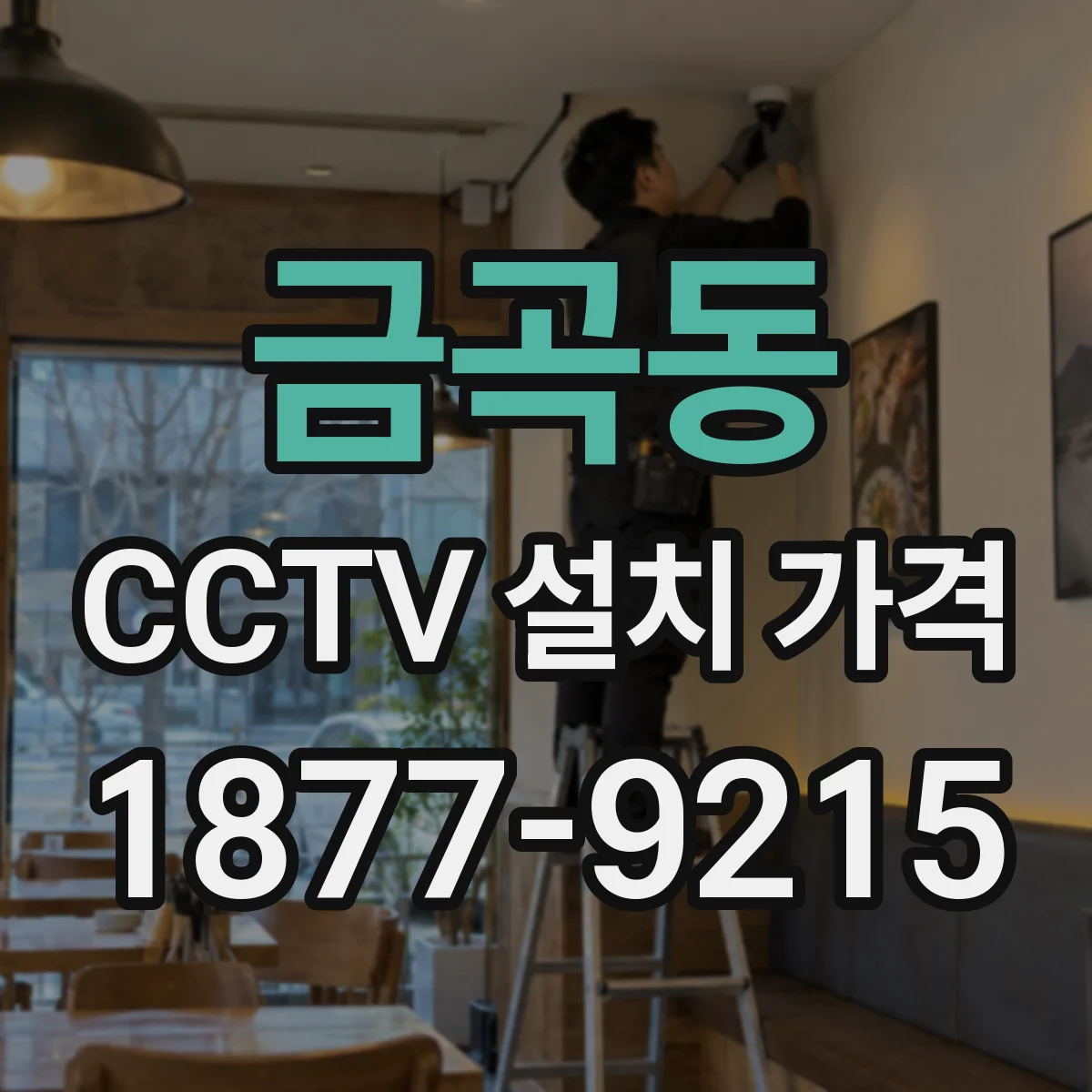 금곡동 CCTV 설치 가격
