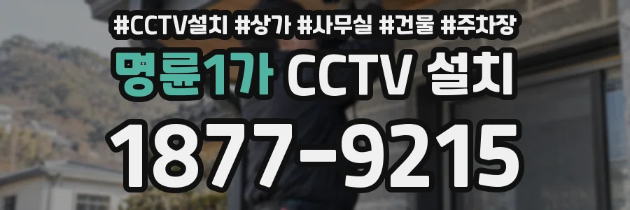 명륜1가 CCTV 설치