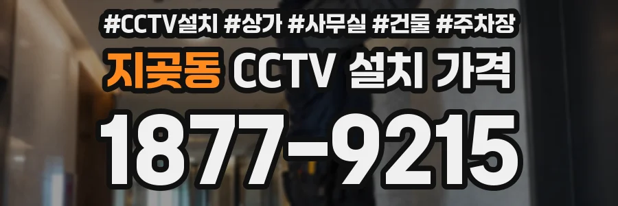 지곶동 CCTV 설치 가격