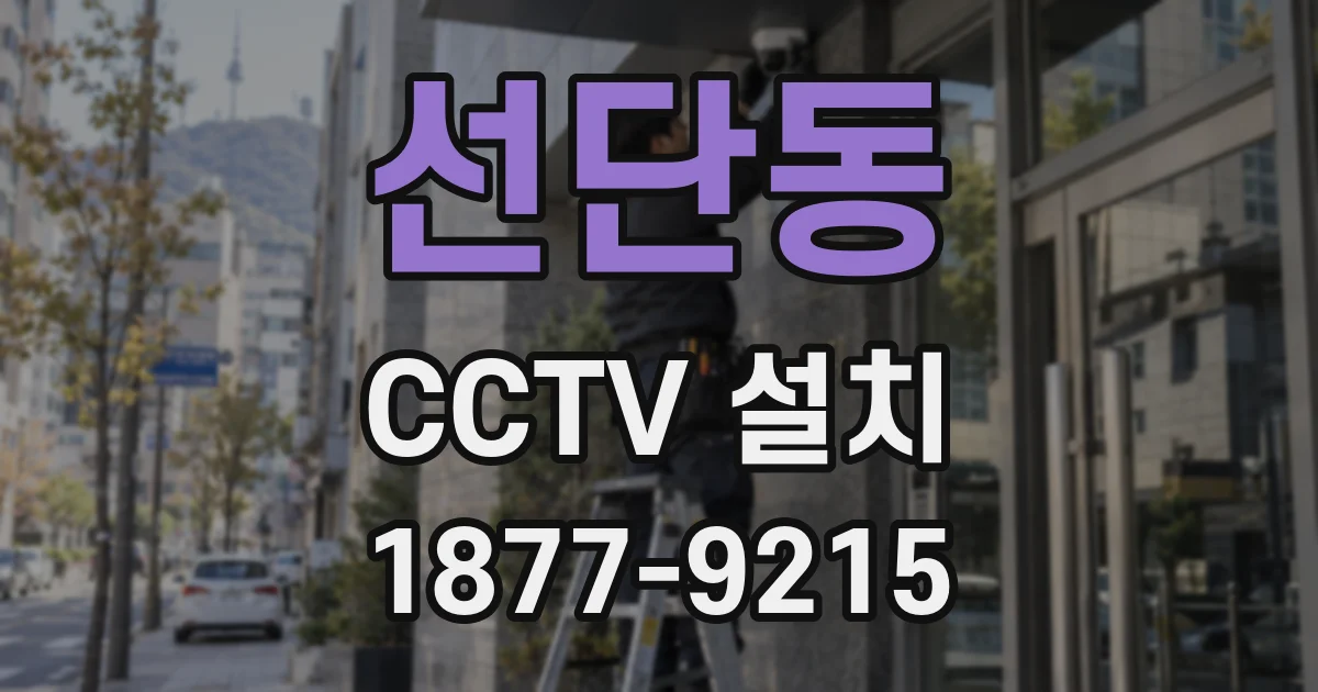 선단동 CCTV 설치