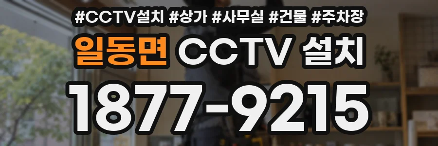 일동면 CCTV 설치