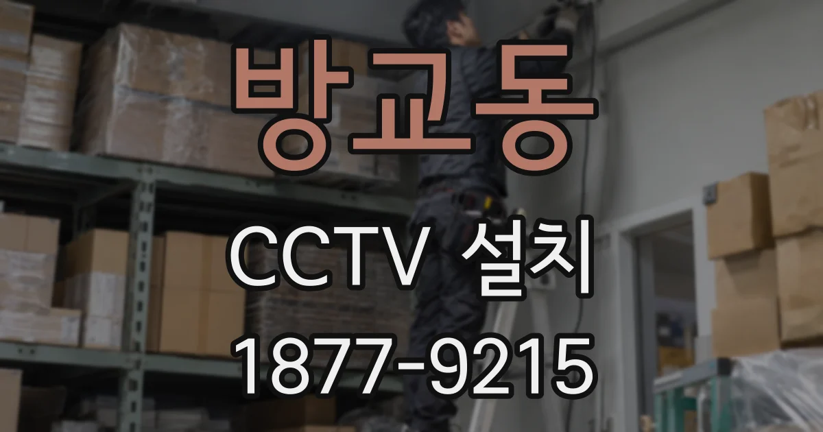방교동 CCTV 설치