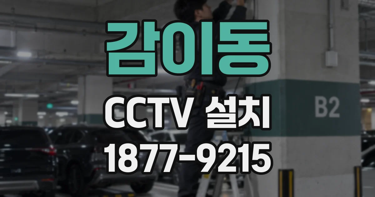 감이동 CCTV 설치
