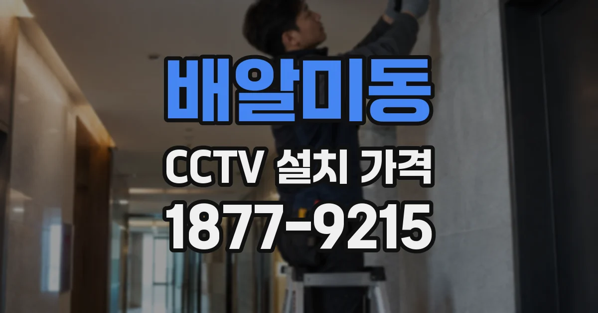배알미동 CCTV 설치 가격