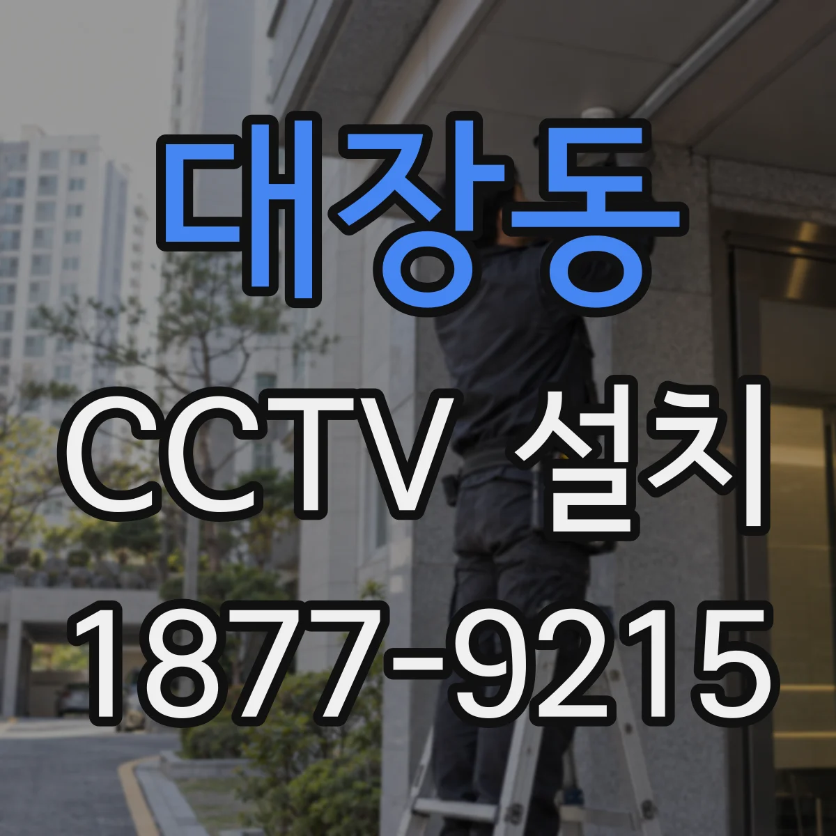 대장동 CCTV 설치
