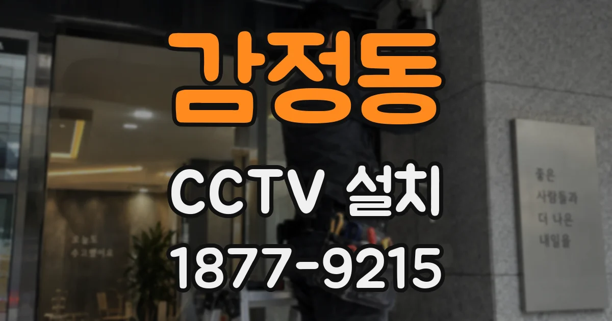 감정동 CCTV 설치