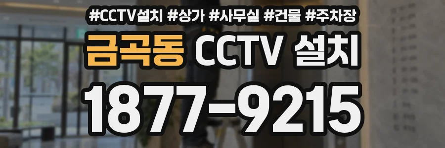 금곡동 CCTV 설치