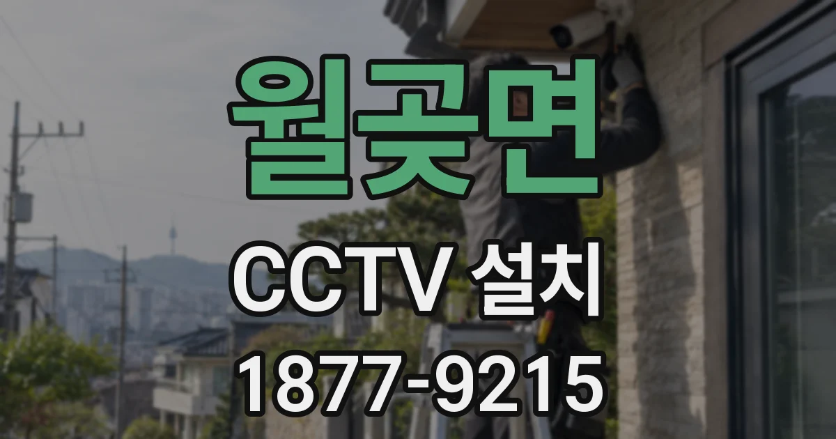 월곶면 CCTV 설치