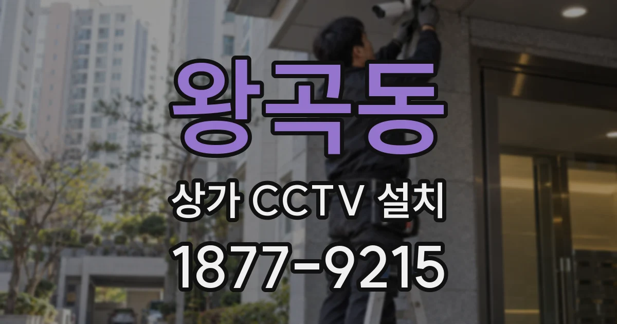 왕곡동 상가 CCTV 설치