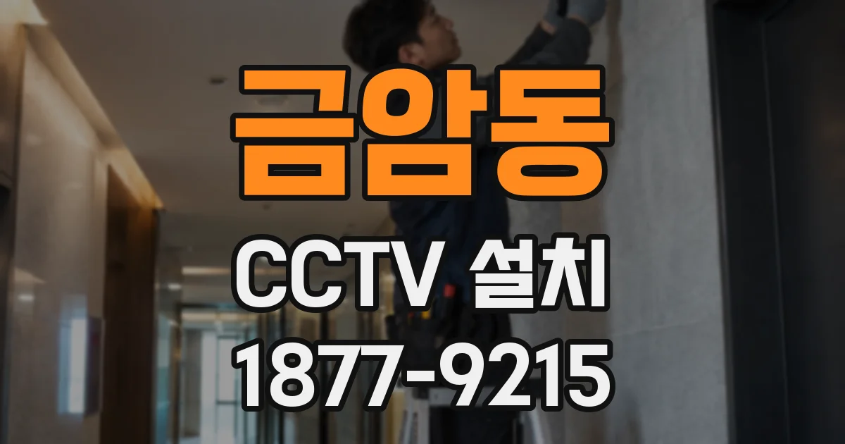 금암동 CCTV 설치
