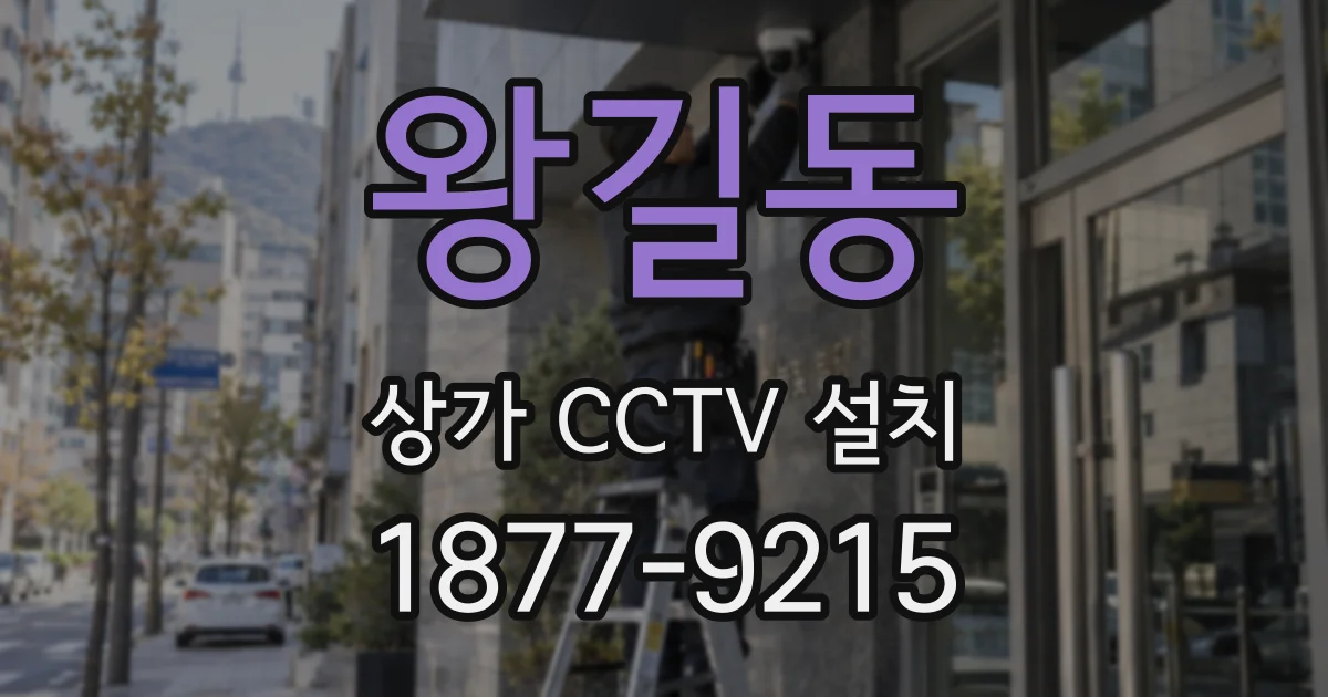 왕길동 상가 CCTV 설치