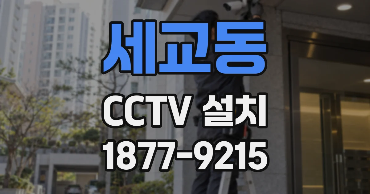 세교동 CCTV 설치