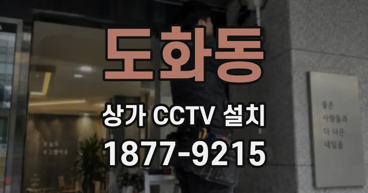 도화동 상가 CCTV 설치