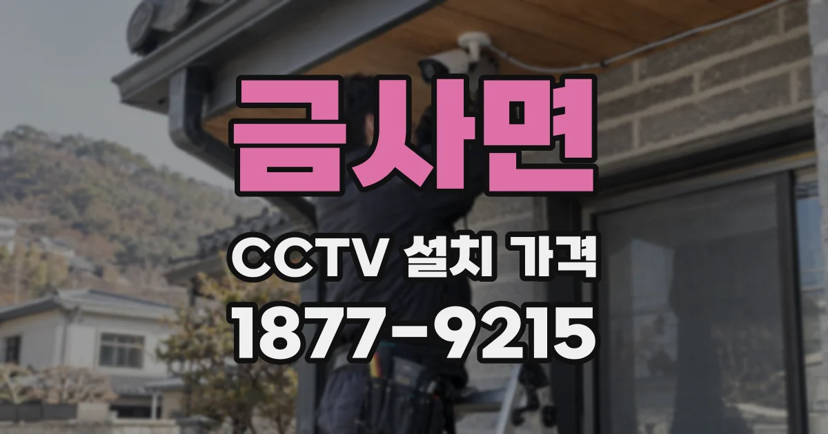 금사면 CCTV 설치 가격