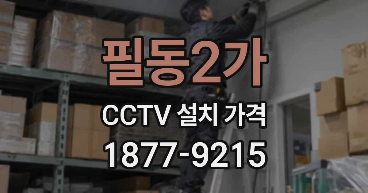 필동2가 CCTV 설치 가격