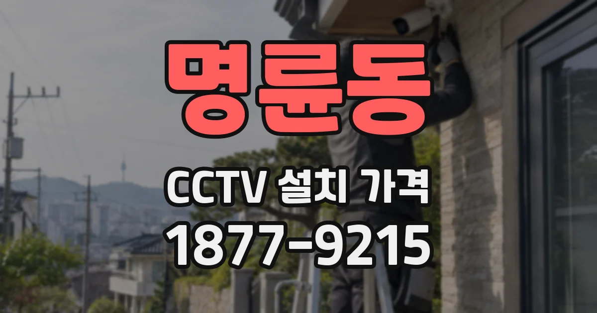 명륜동 CCTV 설치 가격