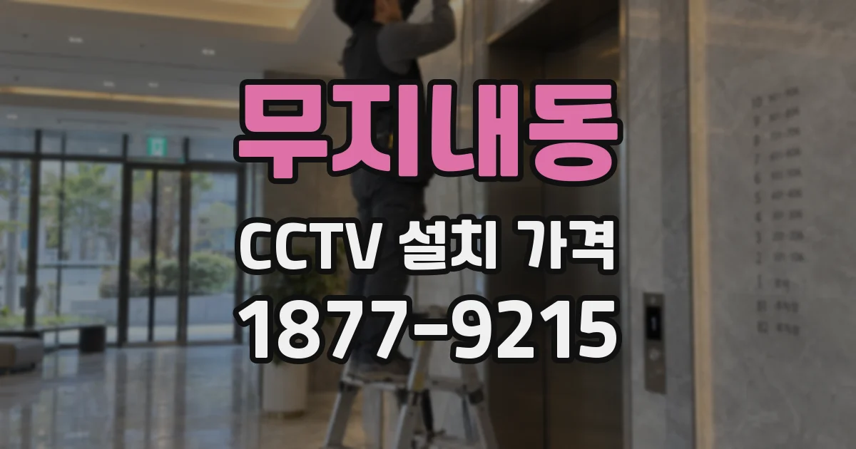 무지내동 CCTV 설치 가격