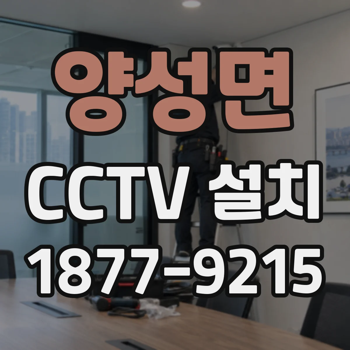 양성면 CCTV 설치