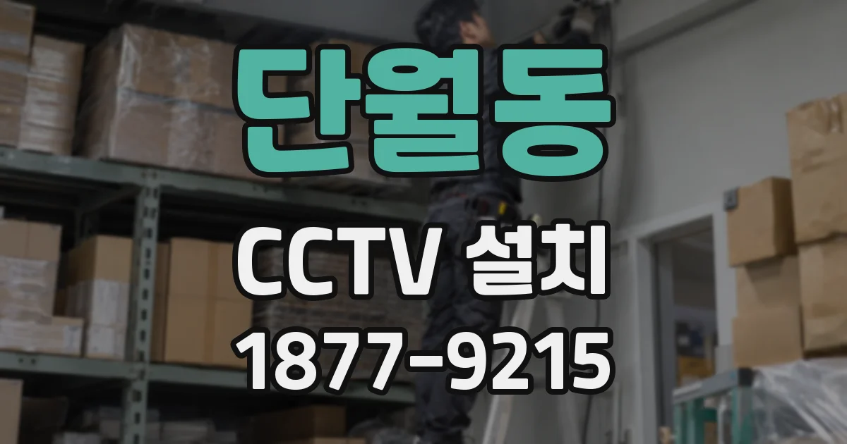 단월동 CCTV 설치