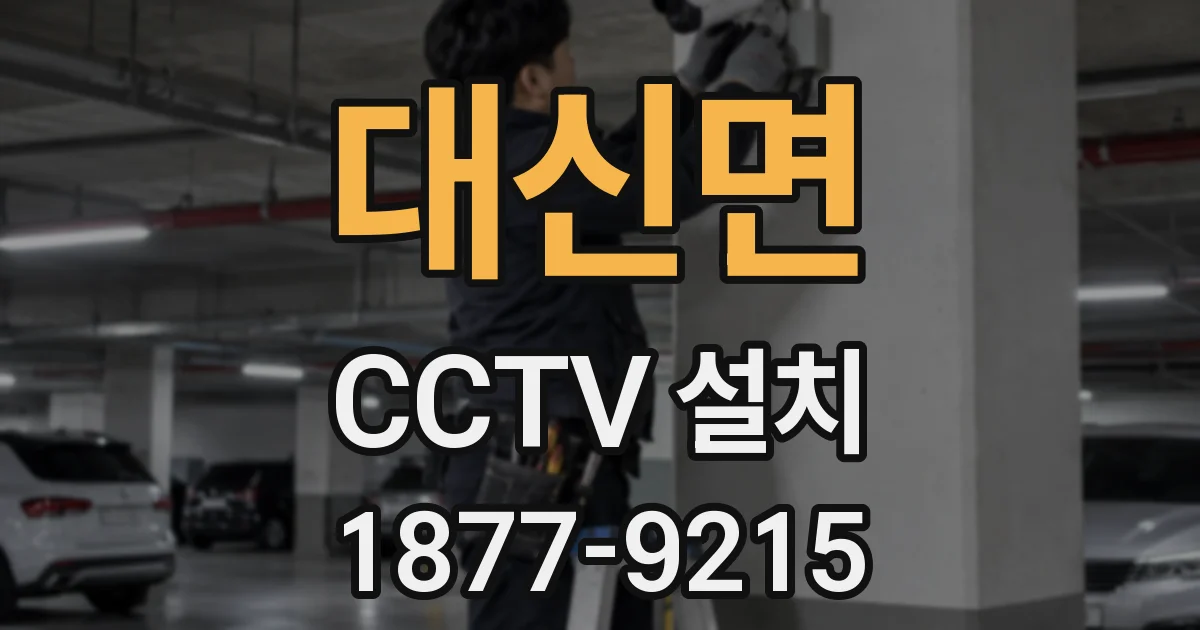 대신면 CCTV 설치