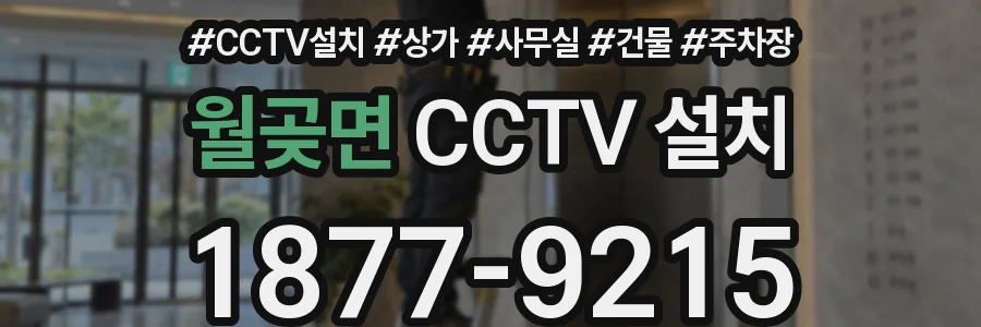 월곶면 CCTV 설치