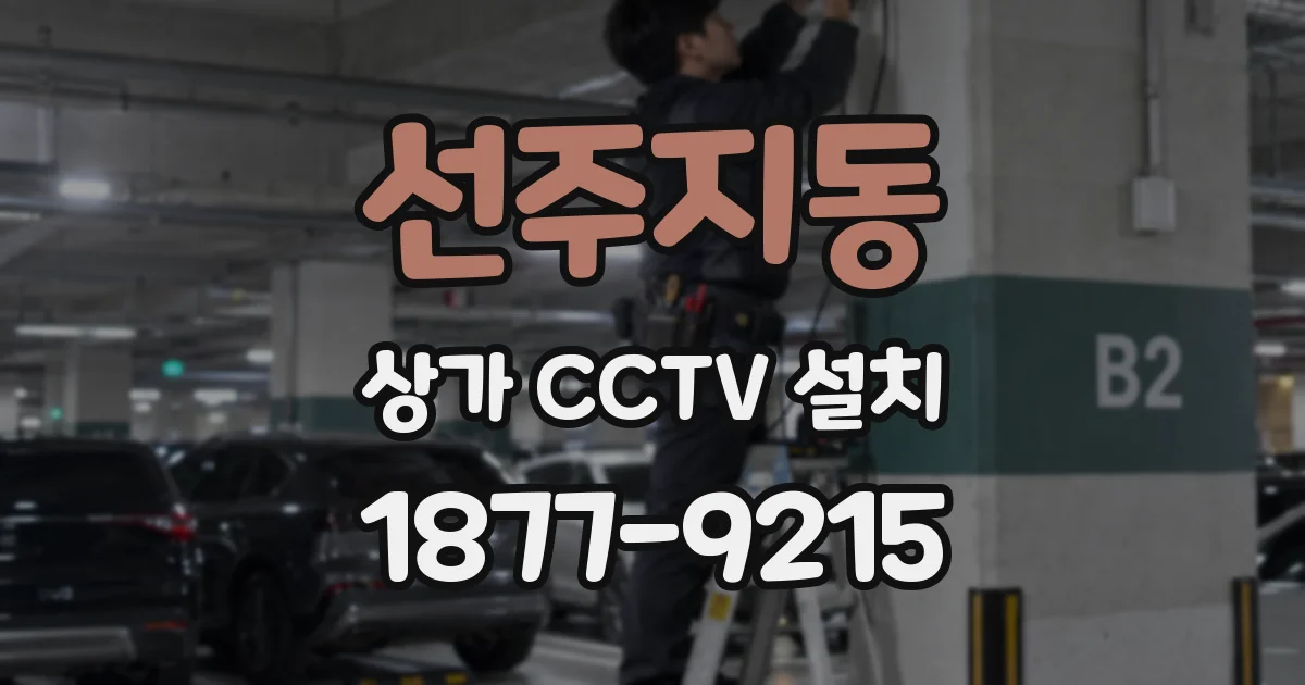 선주지동 상가 CCTV 설치