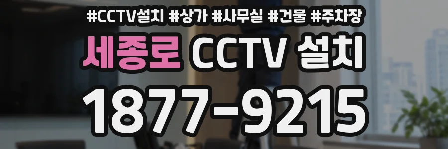 세종로 CCTV 설치