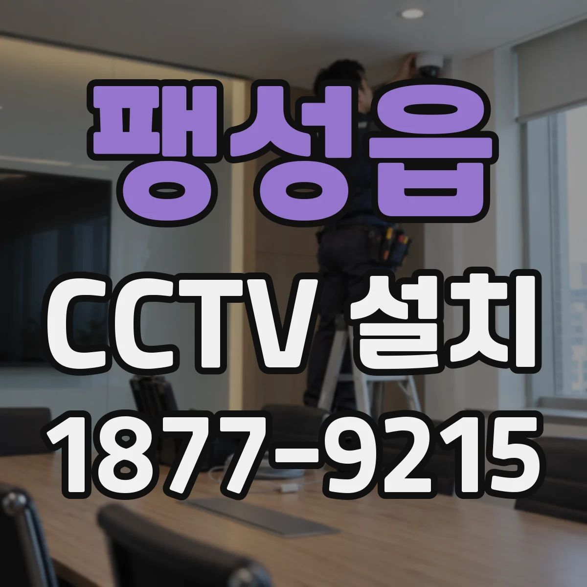 팽성읍 CCTV 설치