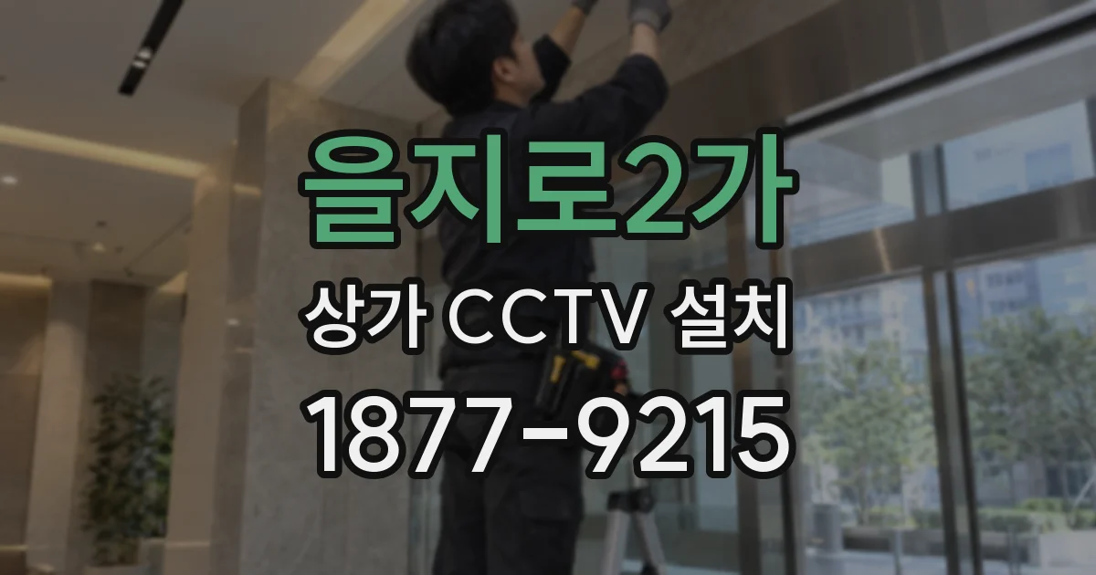 을지로2가 상가 CCTV 설치