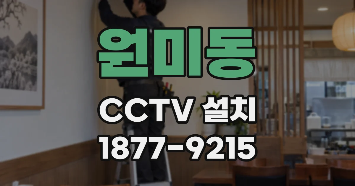 원미동 CCTV 설치