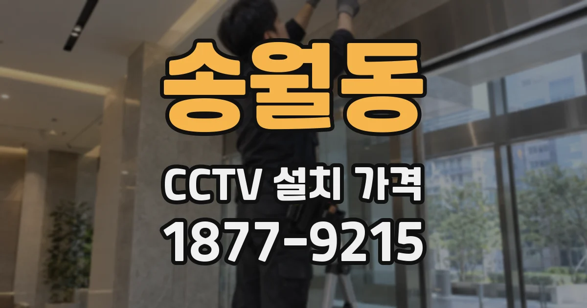 송월동 CCTV 설치 가격