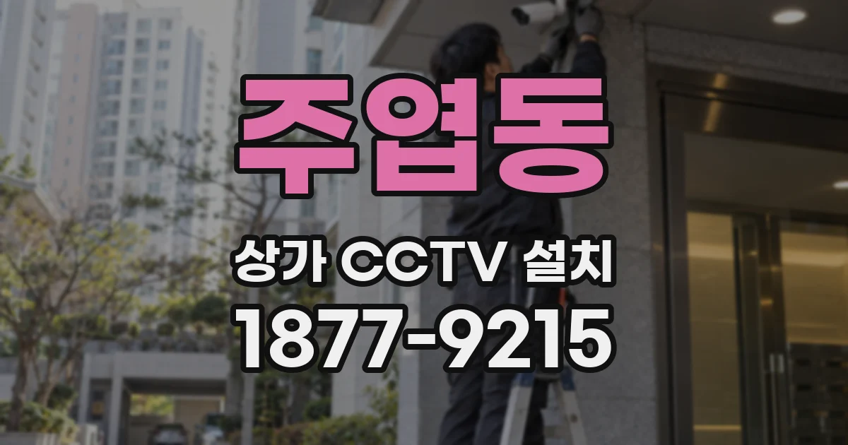 주엽동 상가 CCTV 설치