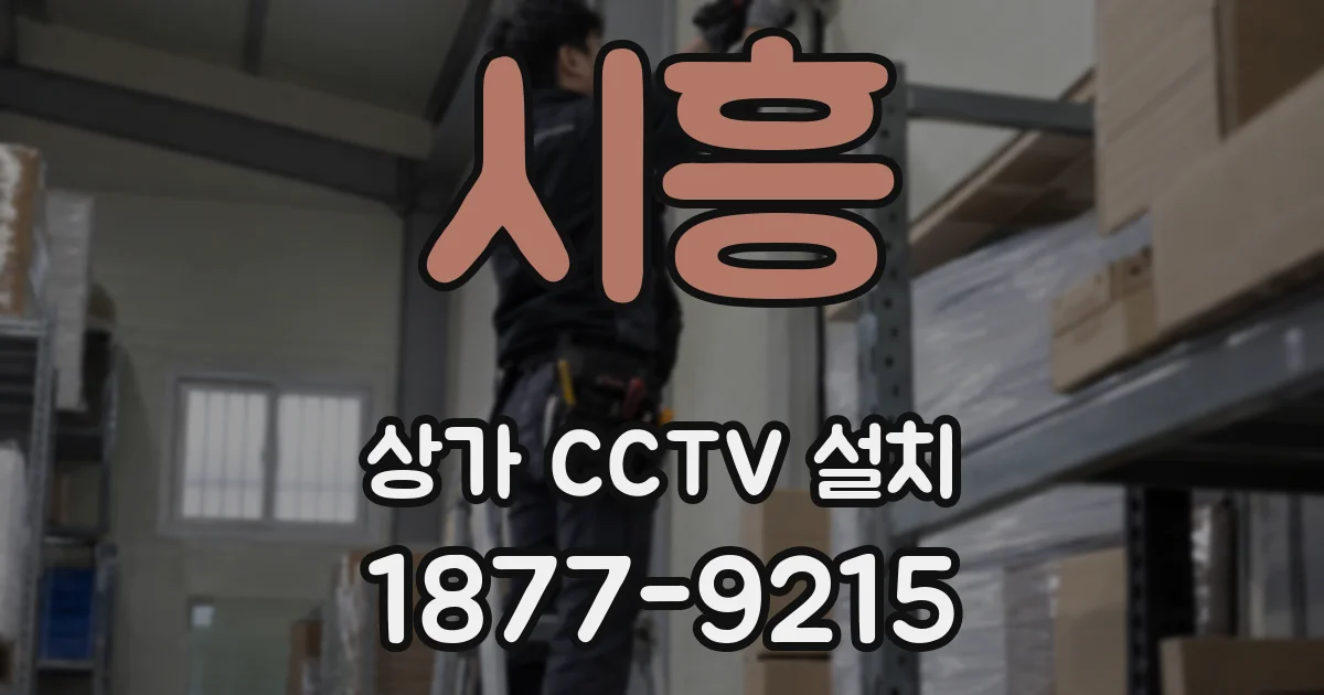 시흥 상가 CCTV 설치