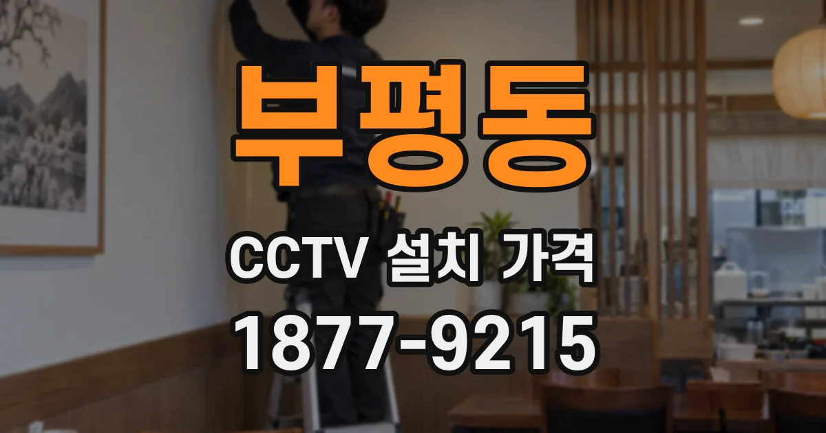 부평동 CCTV 설치 가격