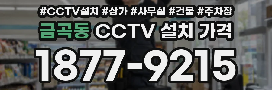 금곡동 CCTV 설치 가격