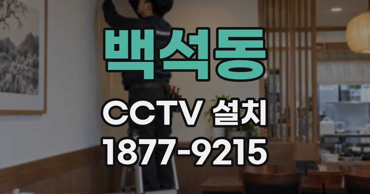 백석동 CCTV 설치