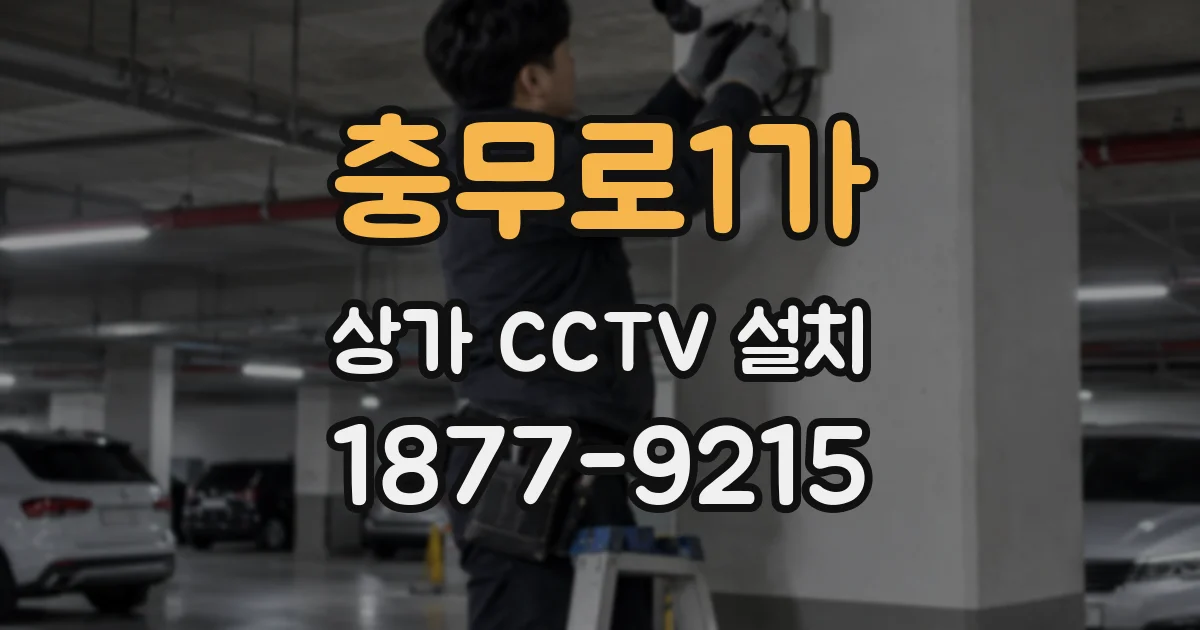 충무로1가 상가 CCTV 설치