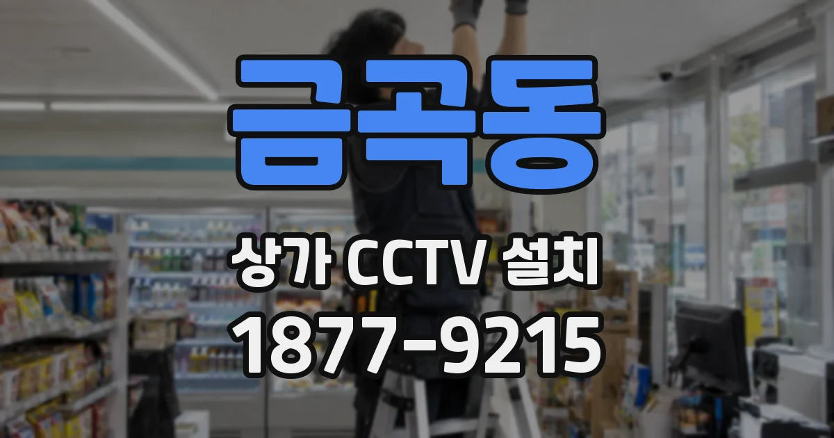 금곡동 상가 CCTV 설치