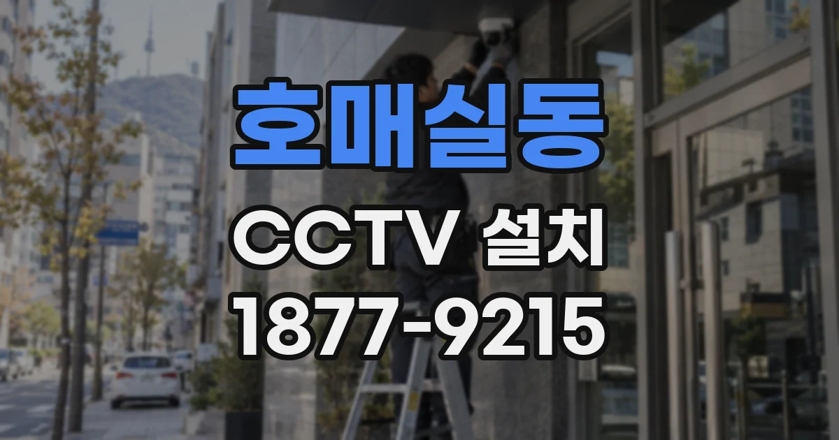 호매실동 CCTV 설치