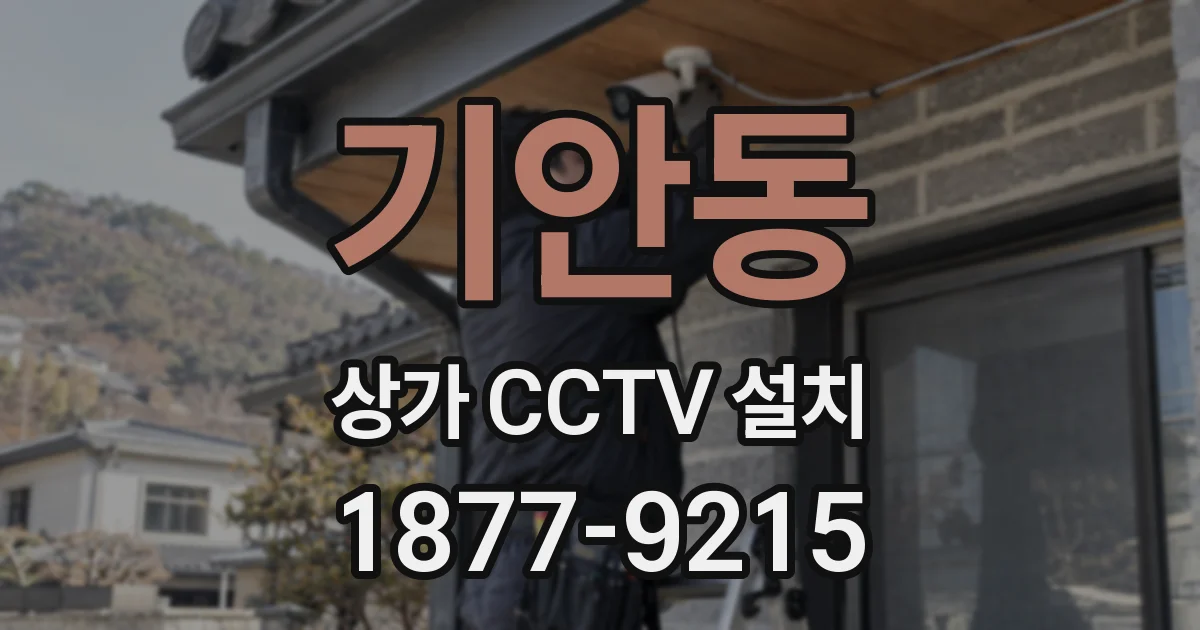기안동 상가 CCTV 설치