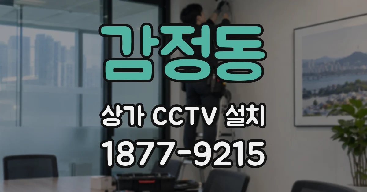 감정동 상가 CCTV 설치