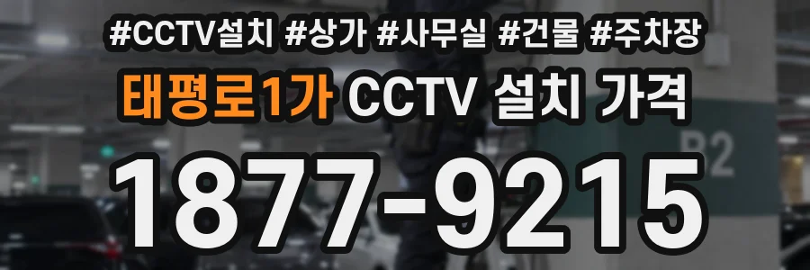 태평로1가 CCTV 설치 가격