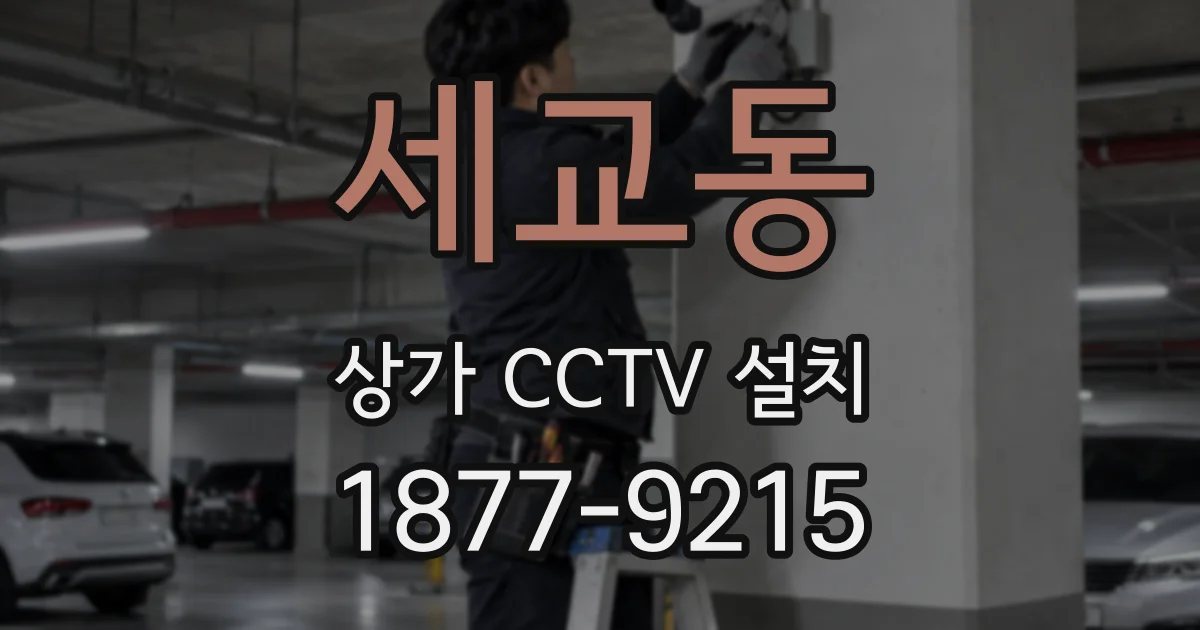 세교동 상가 CCTV 설치