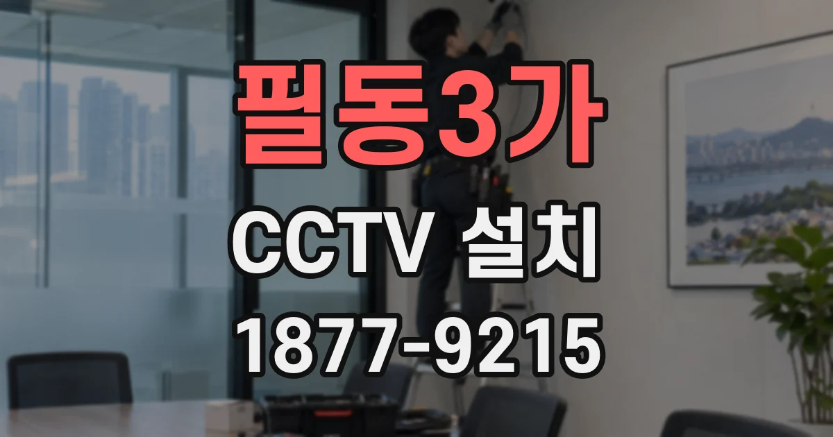 필동3가 CCTV 설치