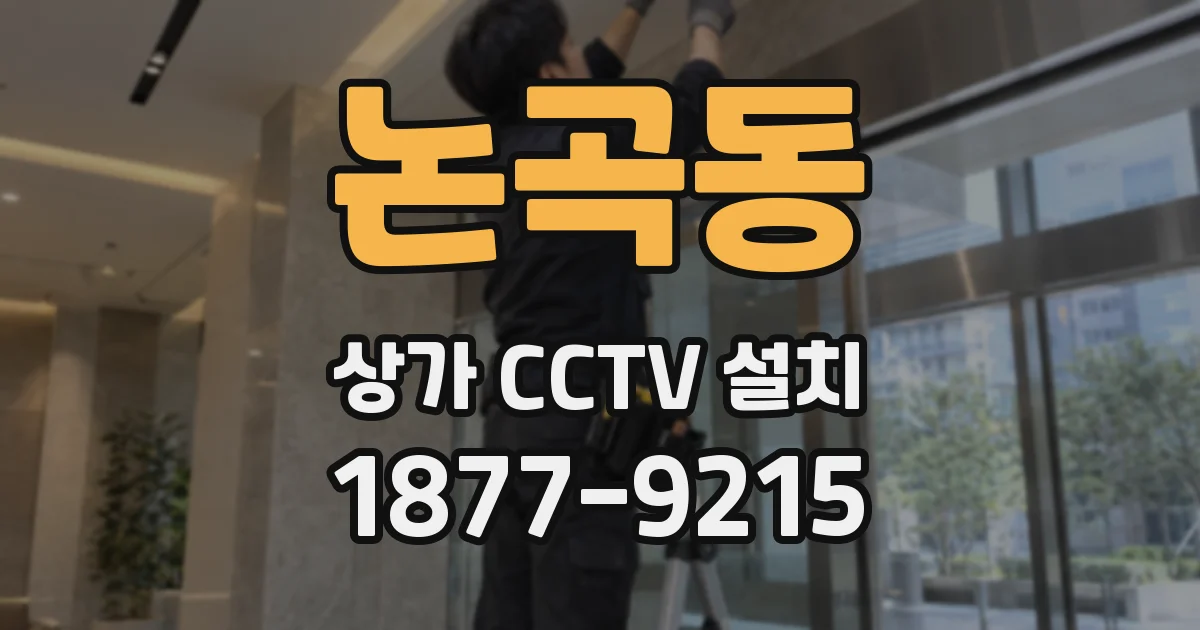 논곡동 상가 CCTV 설치