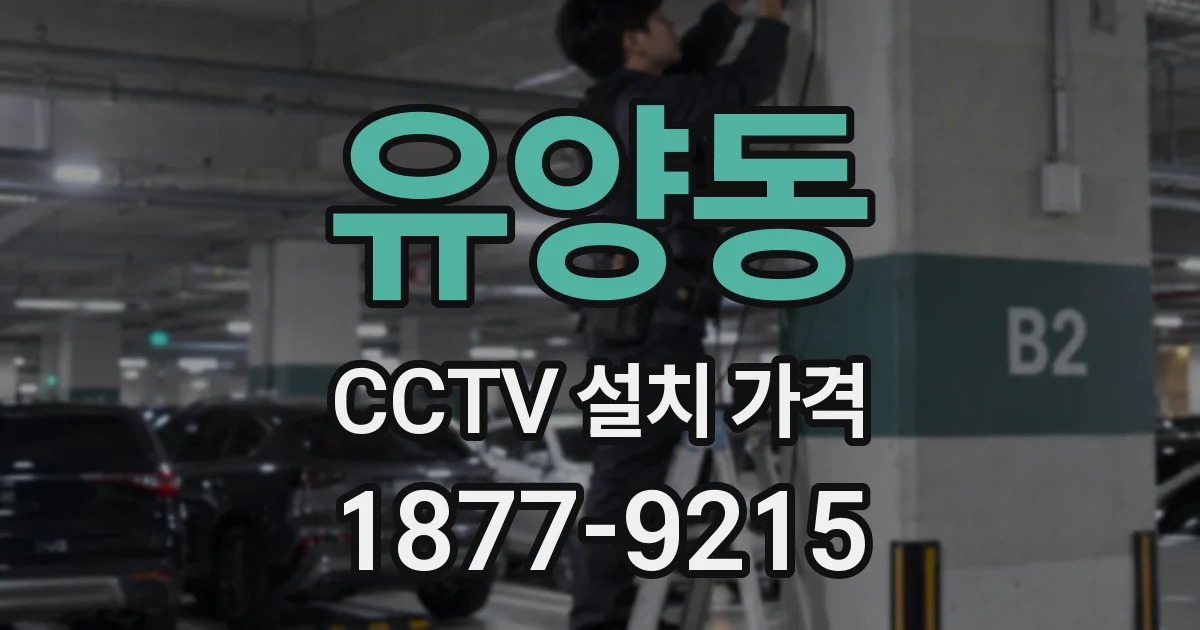 유양동 CCTV 설치 가격