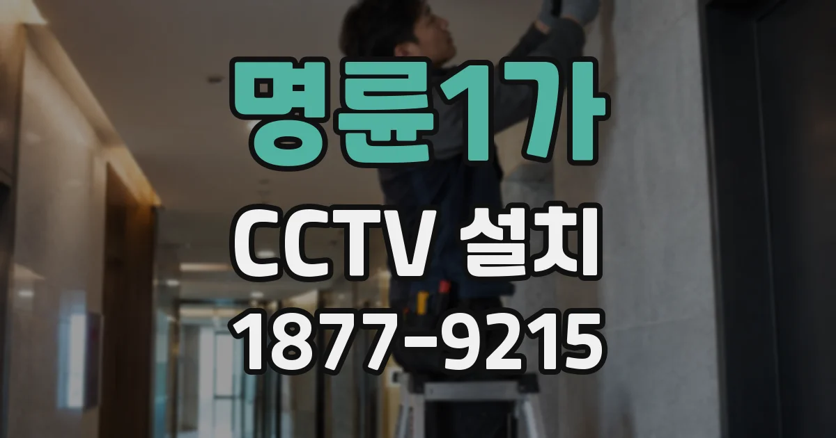 명륜1가 CCTV 설치