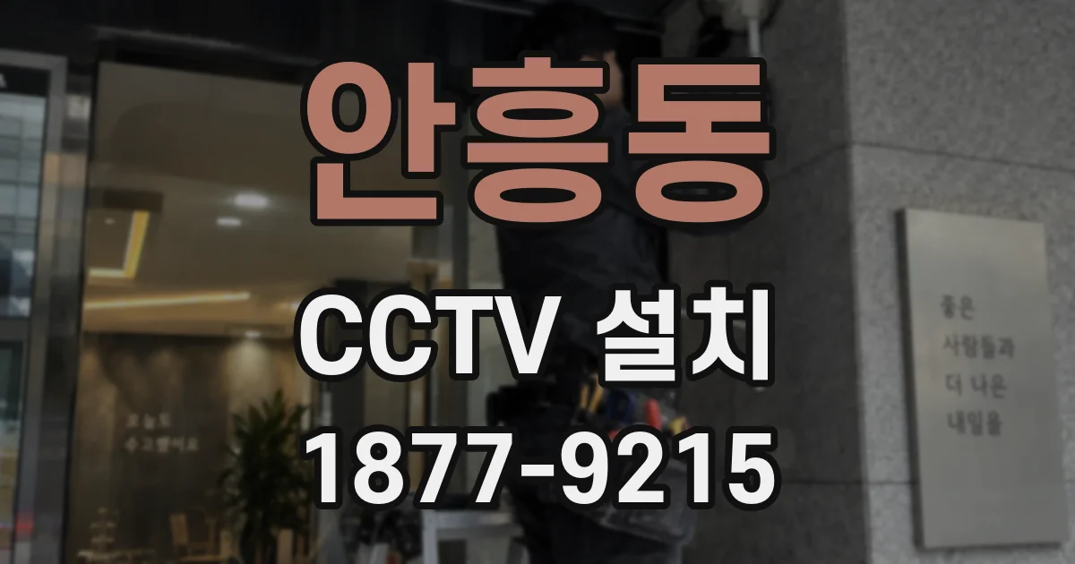 안흥동 CCTV 설치